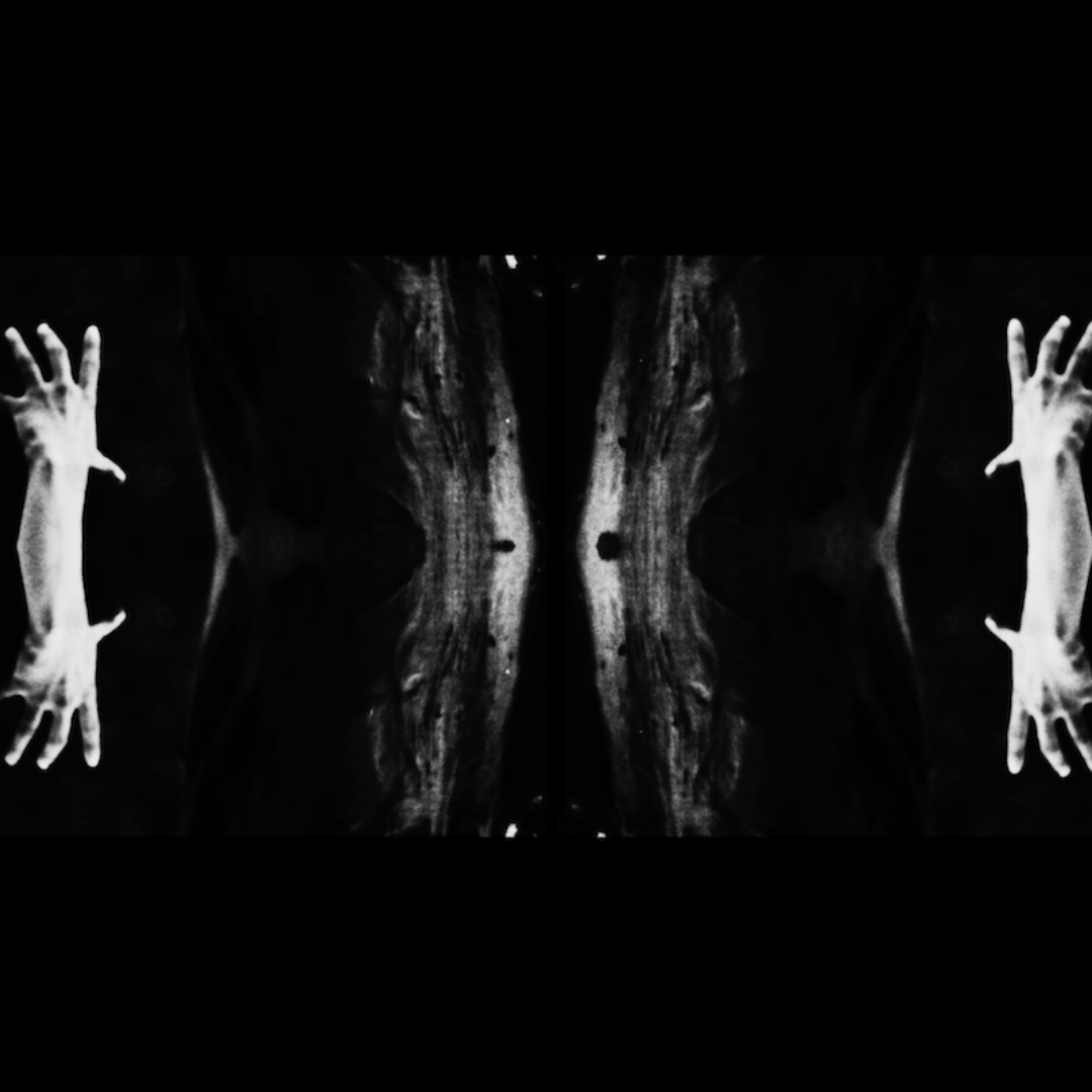 a subconscious return toward the spaces within your bodily memory
